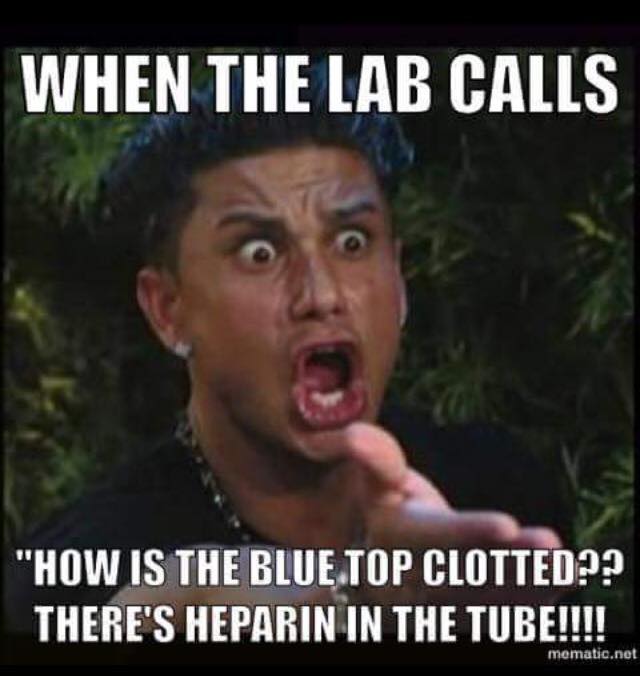 12065674_1051779644856150_3618089149532634097_n