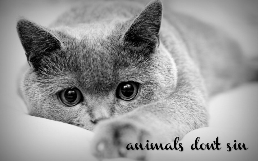 pizap.com14446811425041