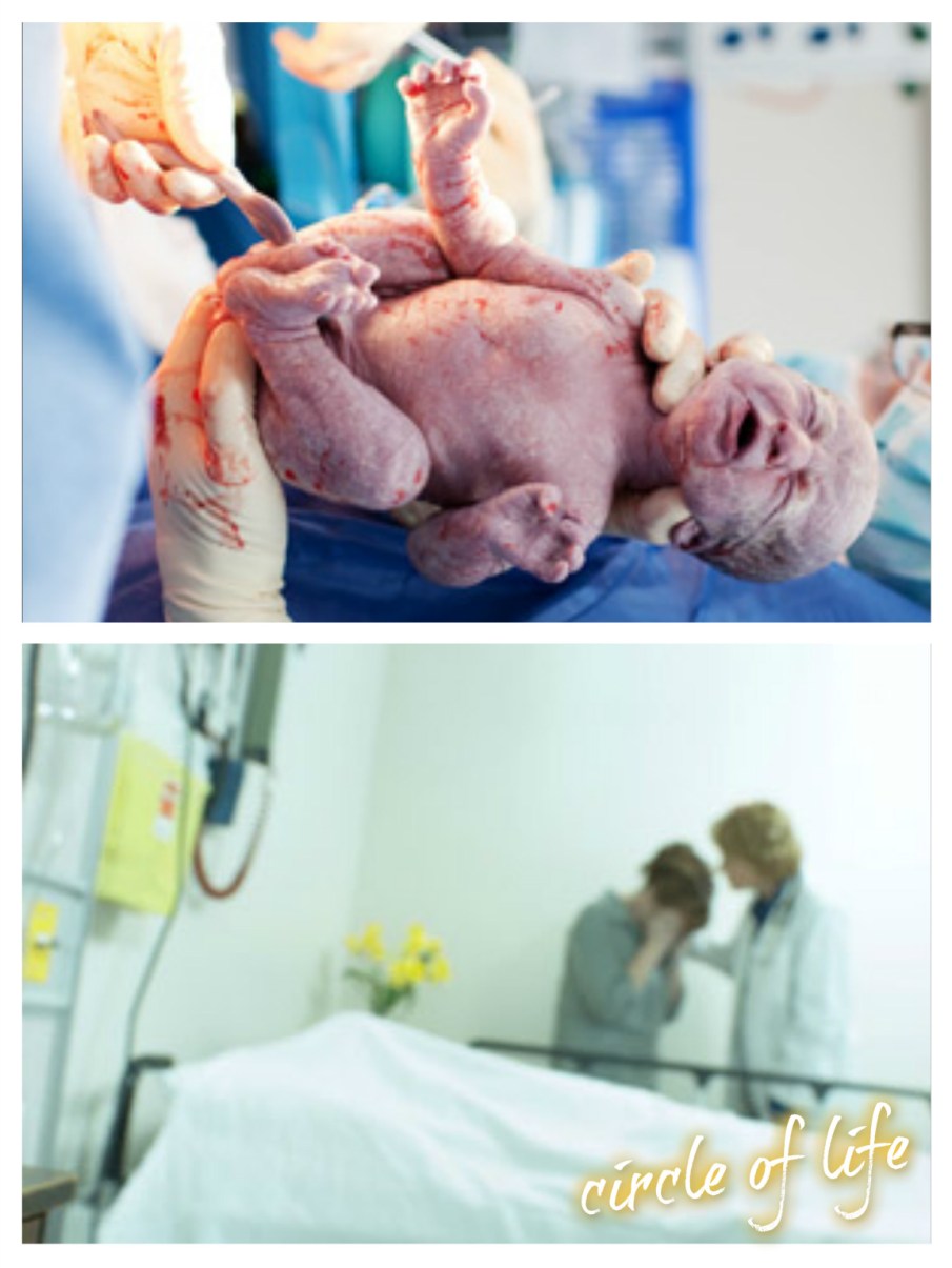 pizap.com14449197407171