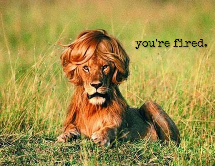 pizap.com14449705158591