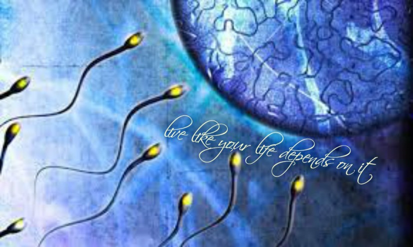 pizap.com14452919289371