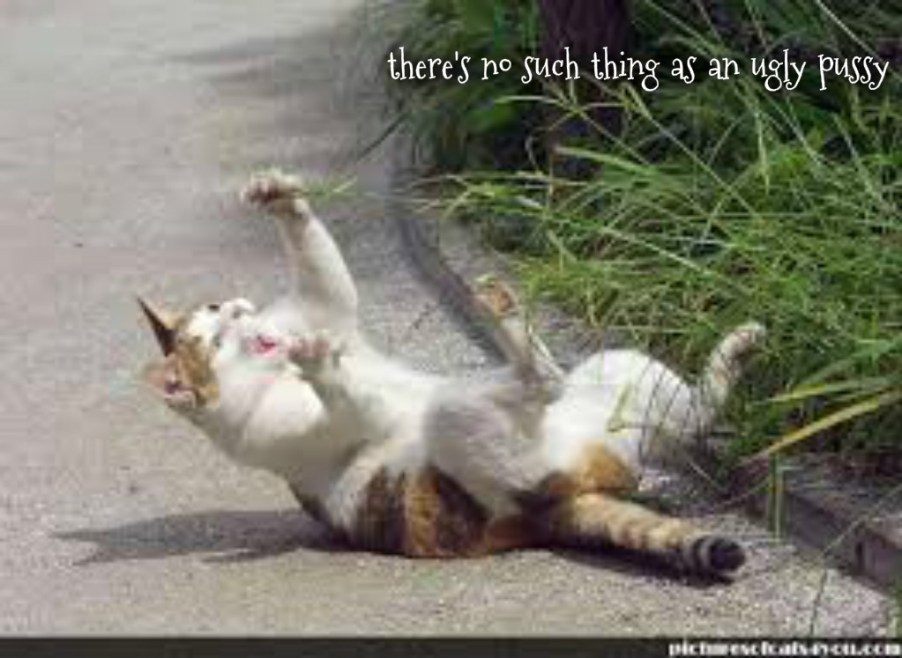 pizap.com14457084427141