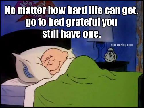 12002183_935742276495801_95864449402177320_n