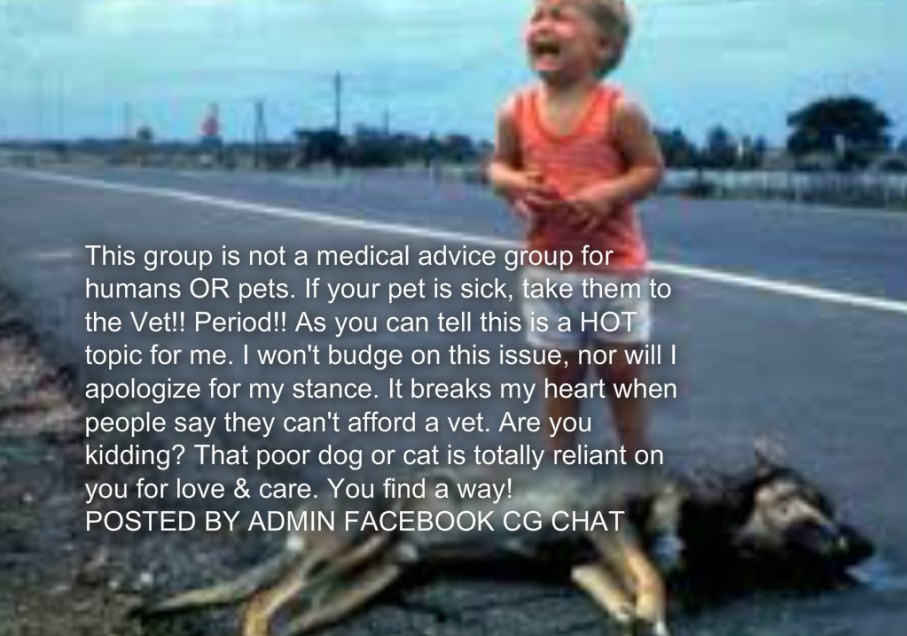 pizap.com14464065353141