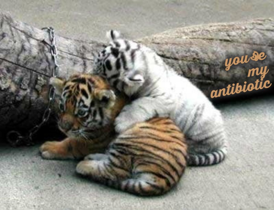 pizap.com14473427603081