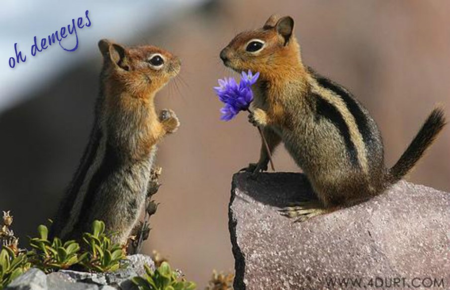 pizap.com14473432372891