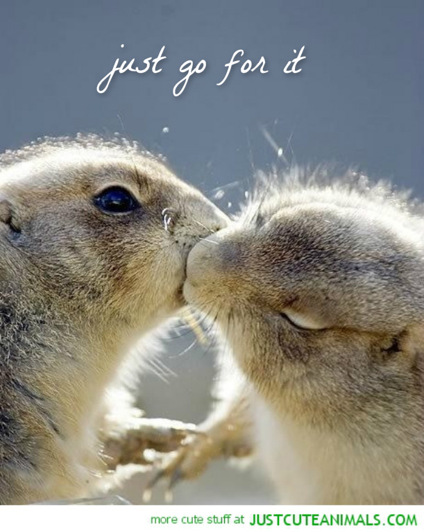 pizap.com14474749397751