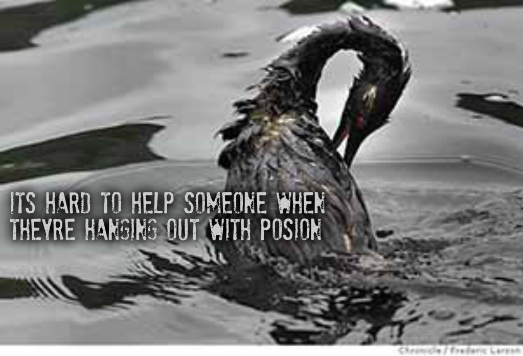 pizap.com14478185531991