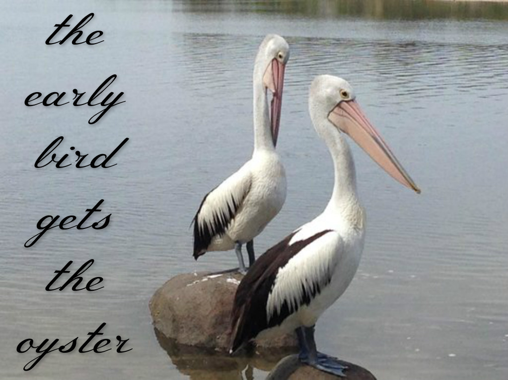 pizap.com14486614467871