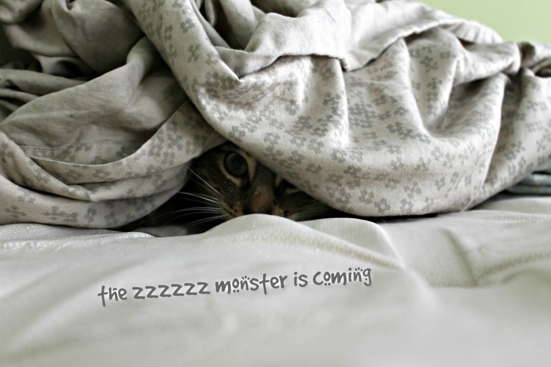 pizap.com14487757729261