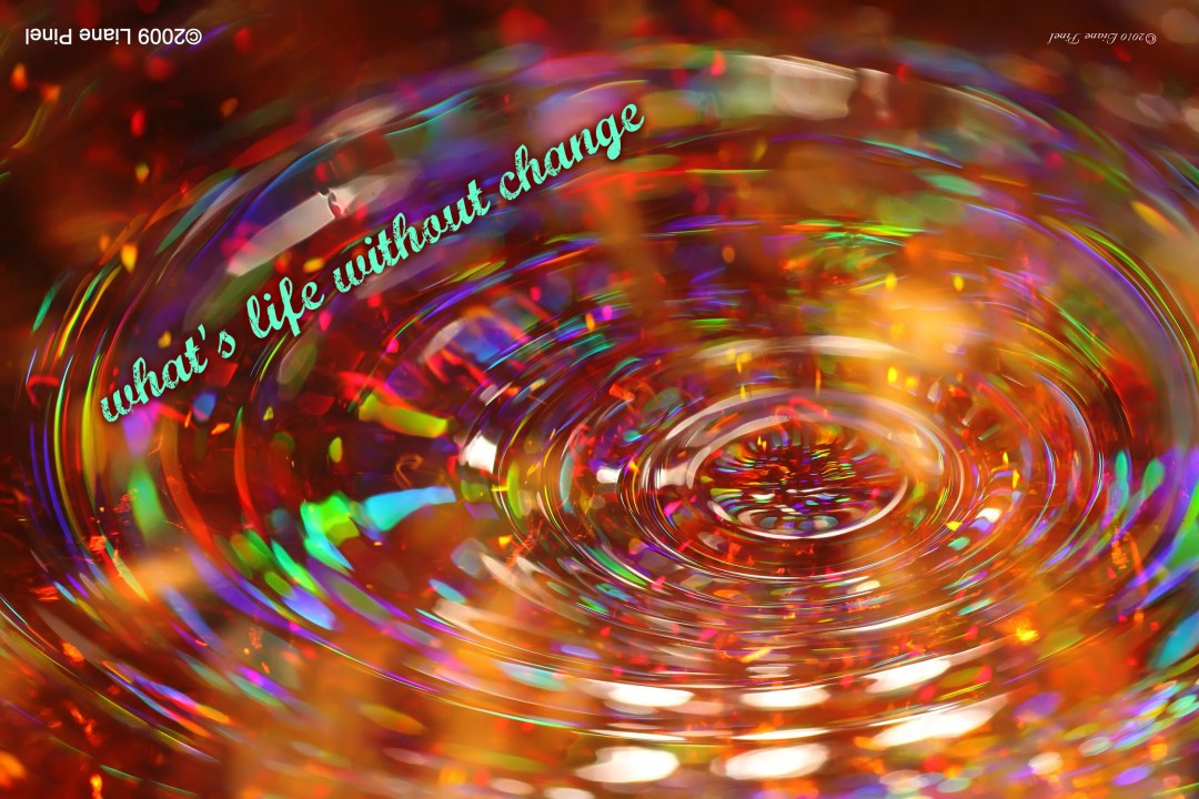 pizap.com14488256864271