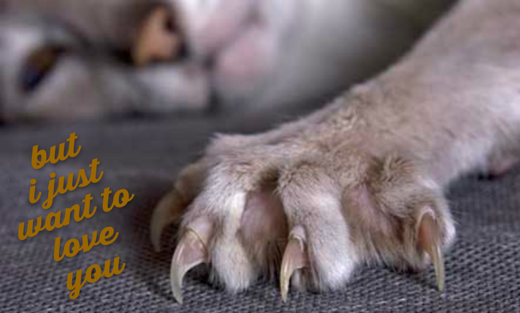 pizap.com14489028307521