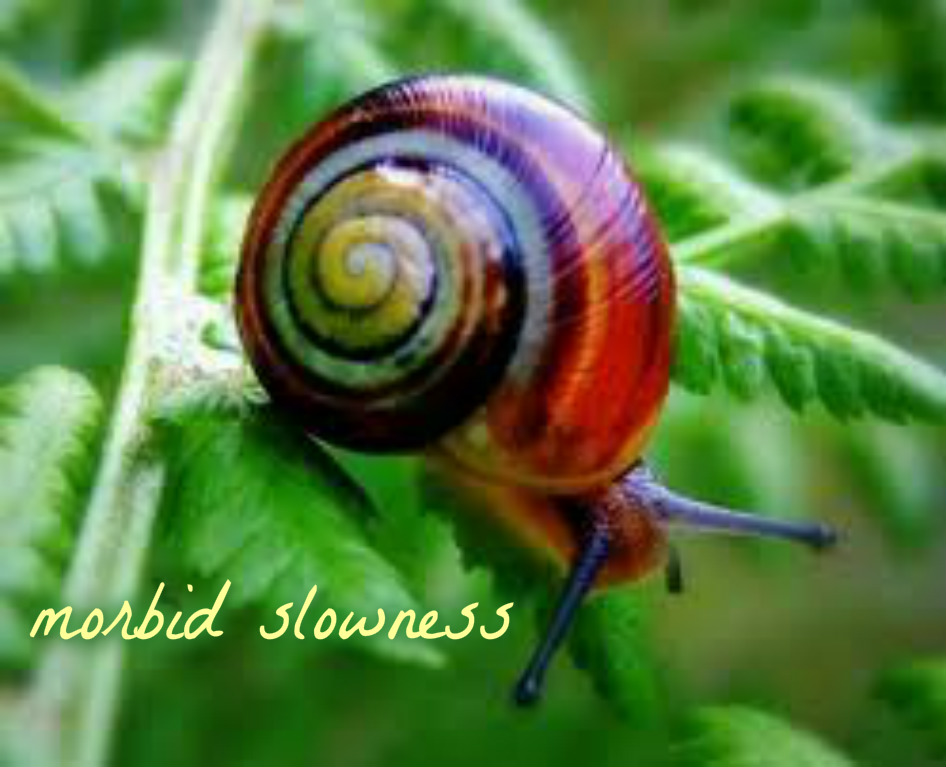 pizap.com14493430853711