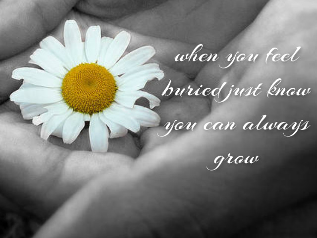 pizap.com14493751941211