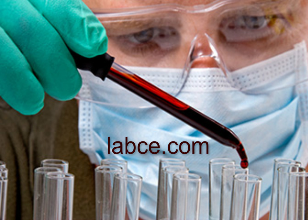 pizap.com14496931499291