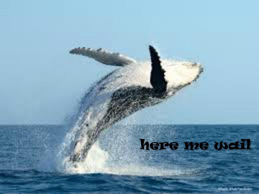 pizap.com14505372433401