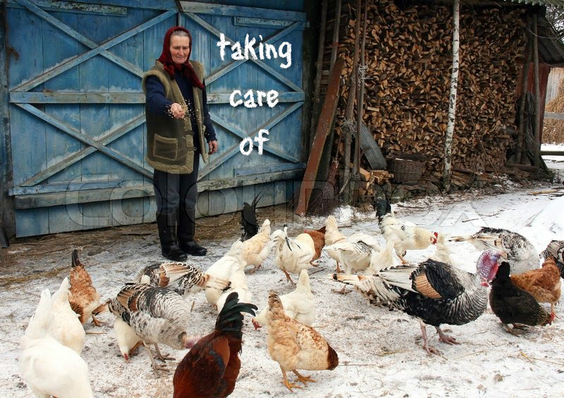 pizap.com14508034126741