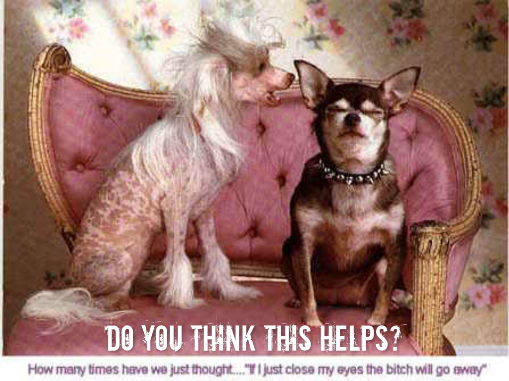 pizap.com14513292510041