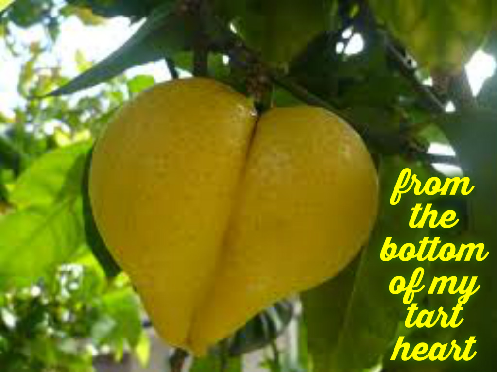 pizap.com14539554471021