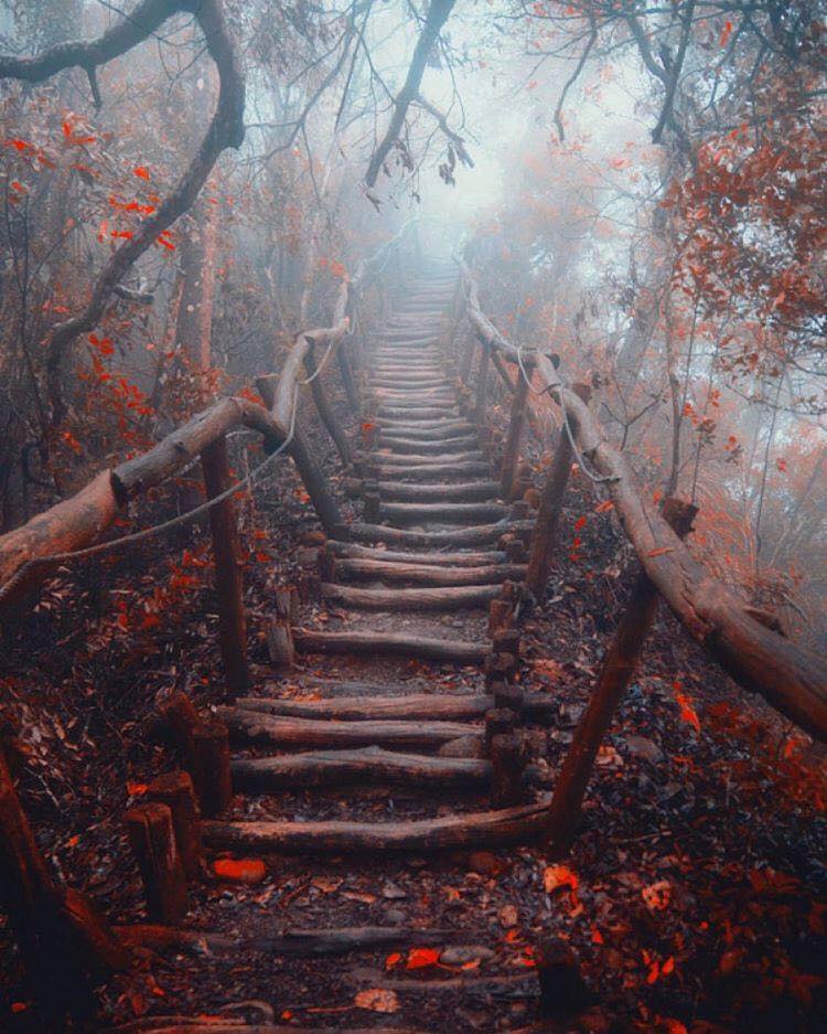 12645213_1534325043533349_2726307155619979992_n