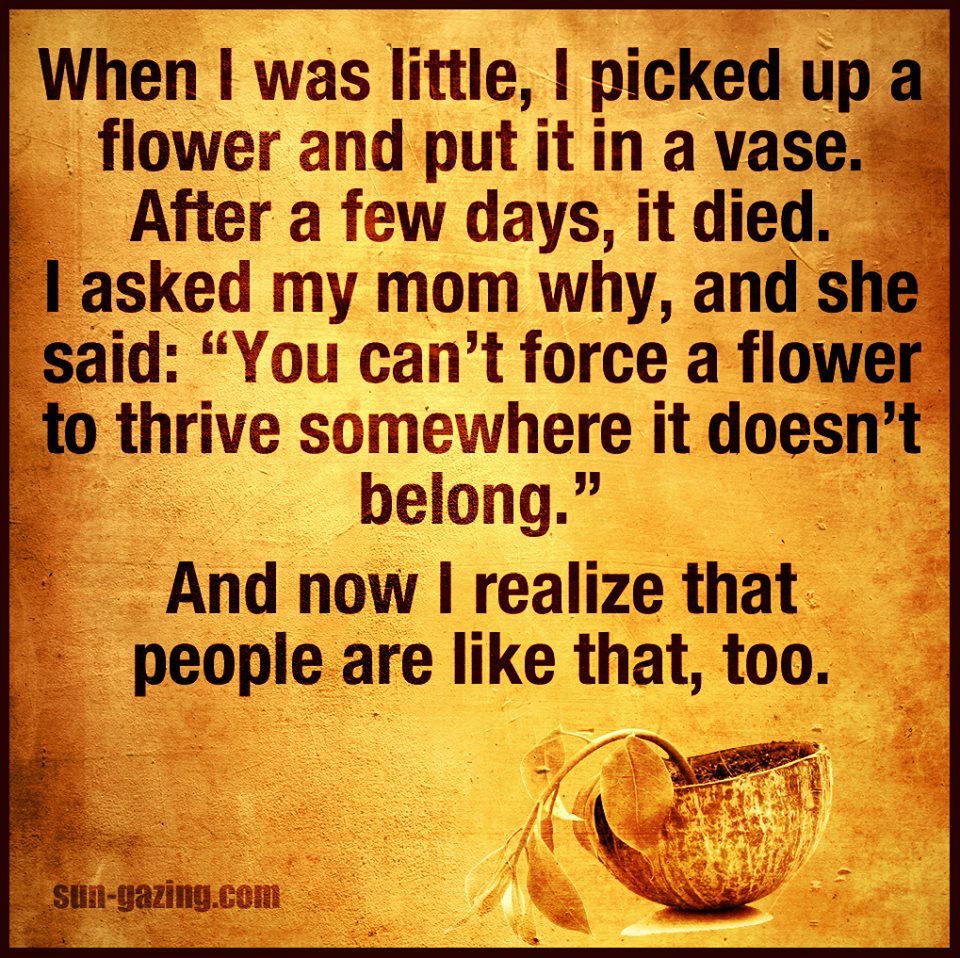 12647201_777235449097953_5961227573061920367_n