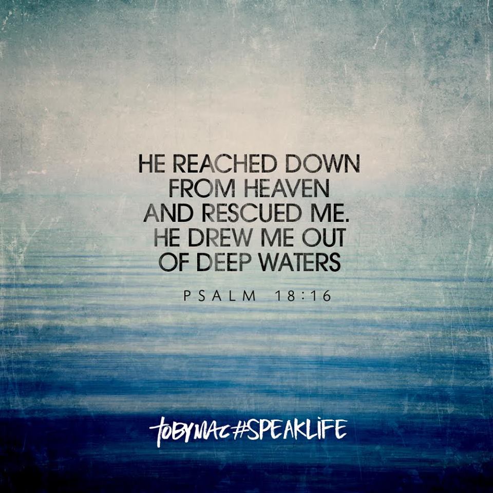 12654181_10153379019056179_2544450143931307631_n