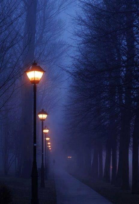 12687770_1534021126897074_4096307430493643833_n