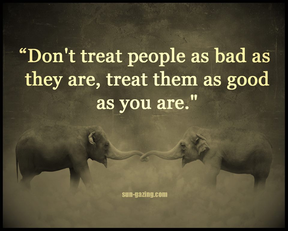 12705737_777332185754946_2158013069859408914_n