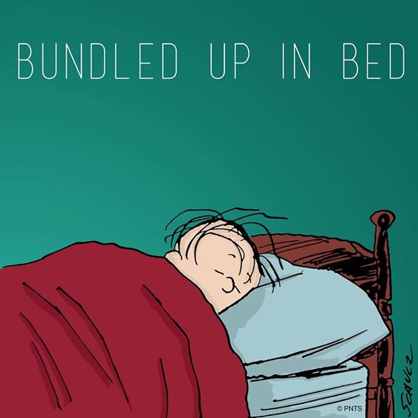 12743848_1671256879792693_6784658673617513673_n