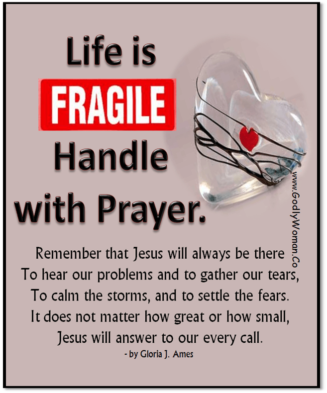 579574_10151410629564939_899785430_n