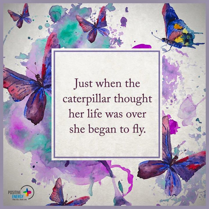 12729133_1144749108883237_4460023089913800414_n