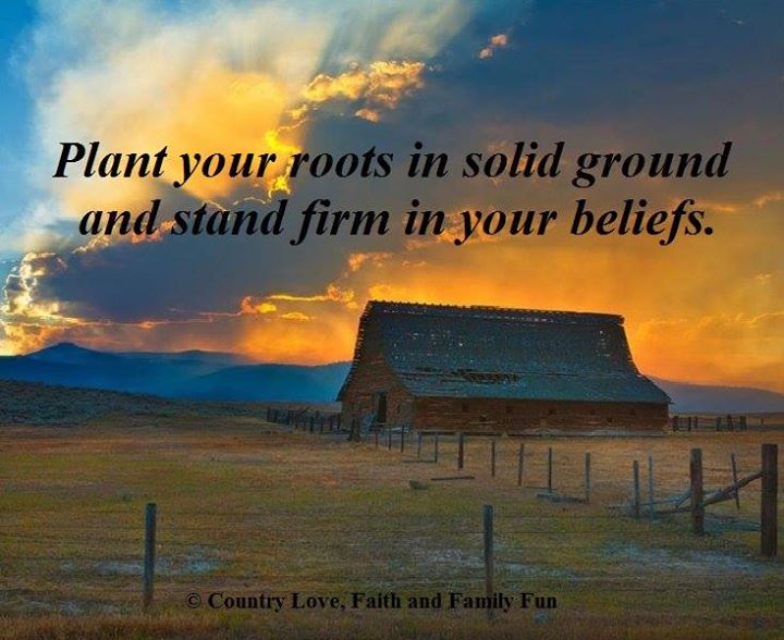 12805768_802078683237517_8741720901448024532_n