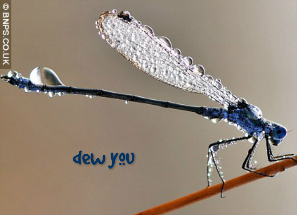 pizap.com14579694647241