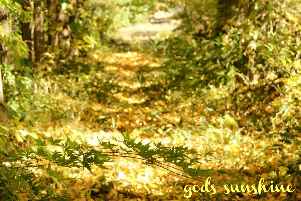 pizap.com14590529803691