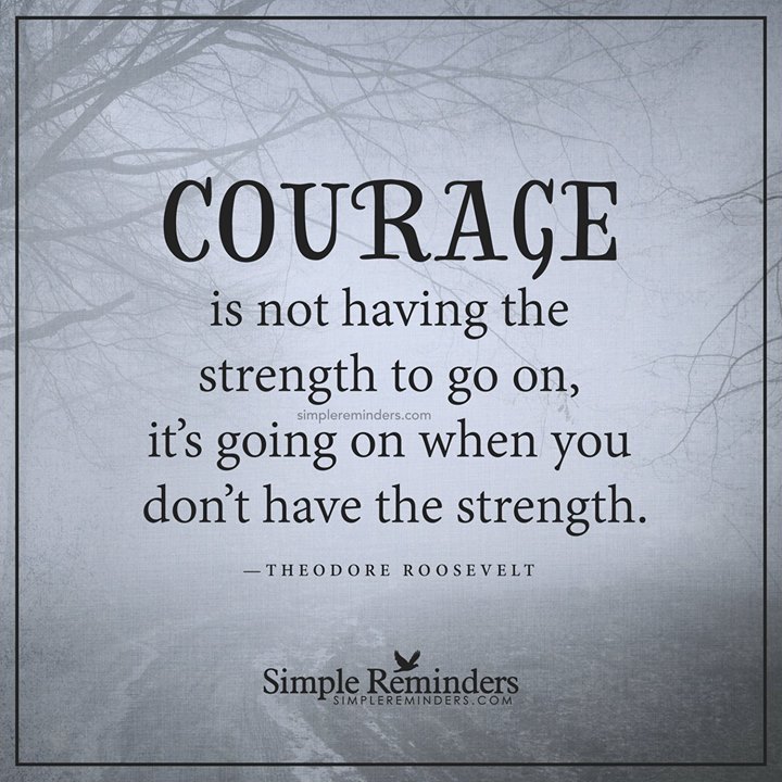 13116231_1267745656592687_982694138252268502_o