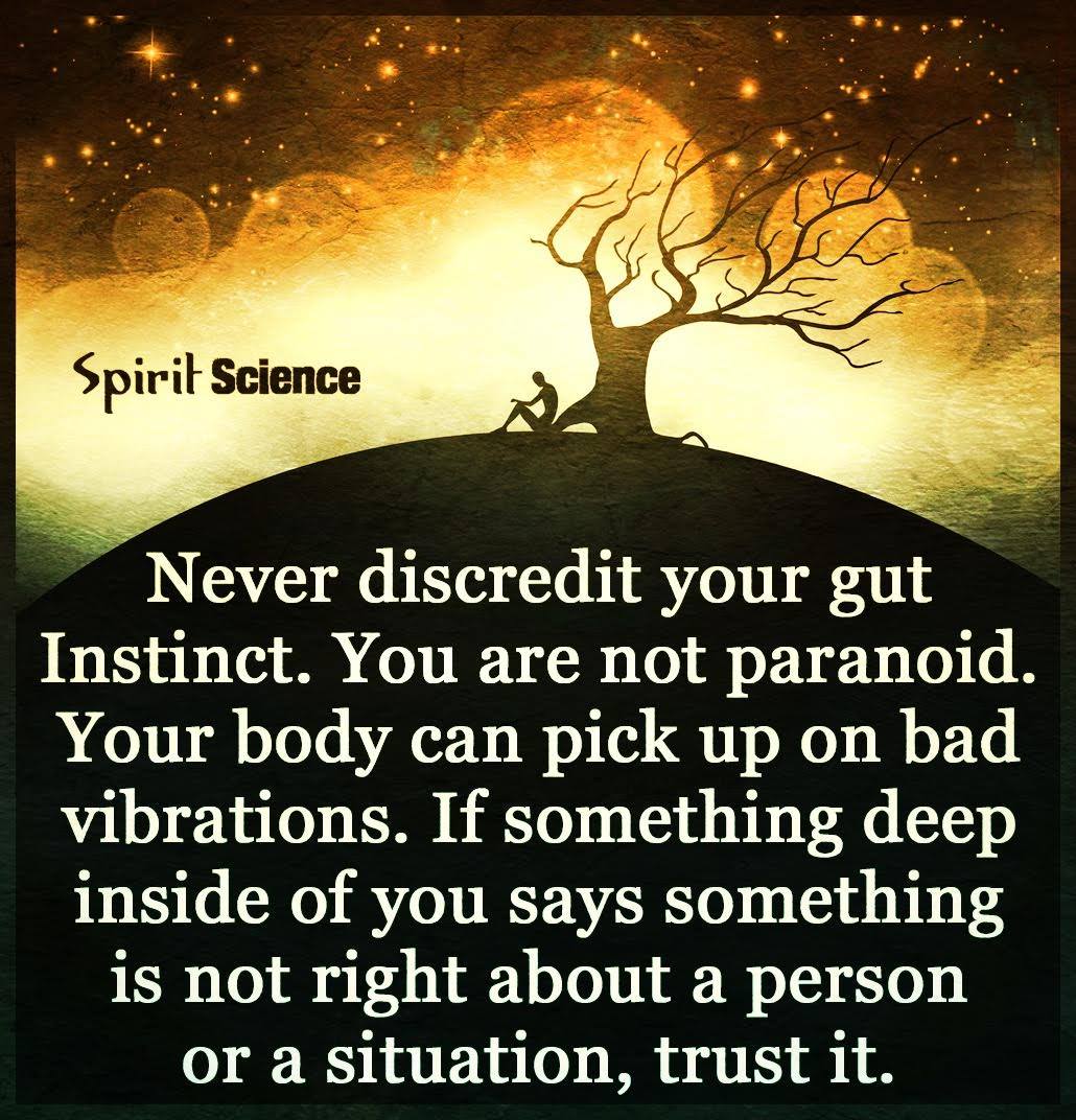 13161961_1341785539195265_3146824362853786133_o