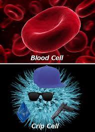 13177058_549629131886800_791172825932360039_n