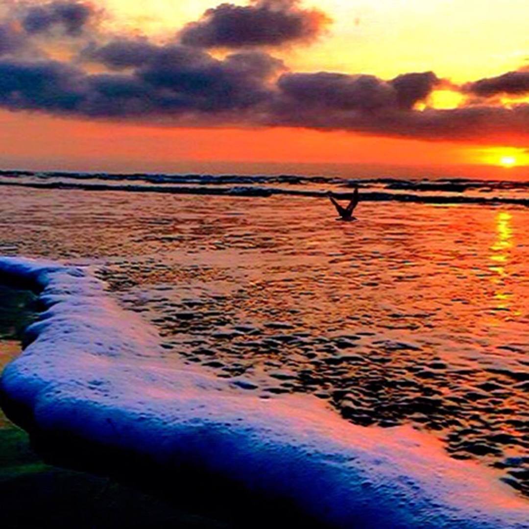 13227321_10156966521830370_9123256686612786517_o