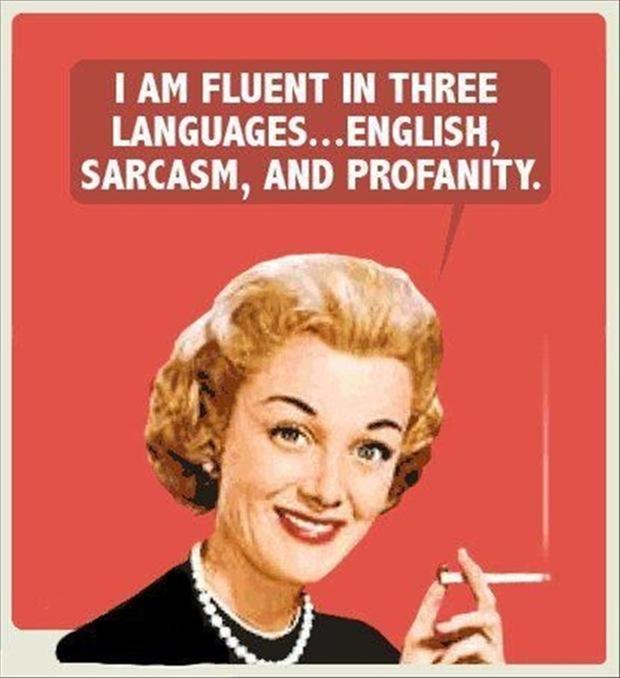 i-am-fluent-in-three-languages-english-sarcasm-and-profanity