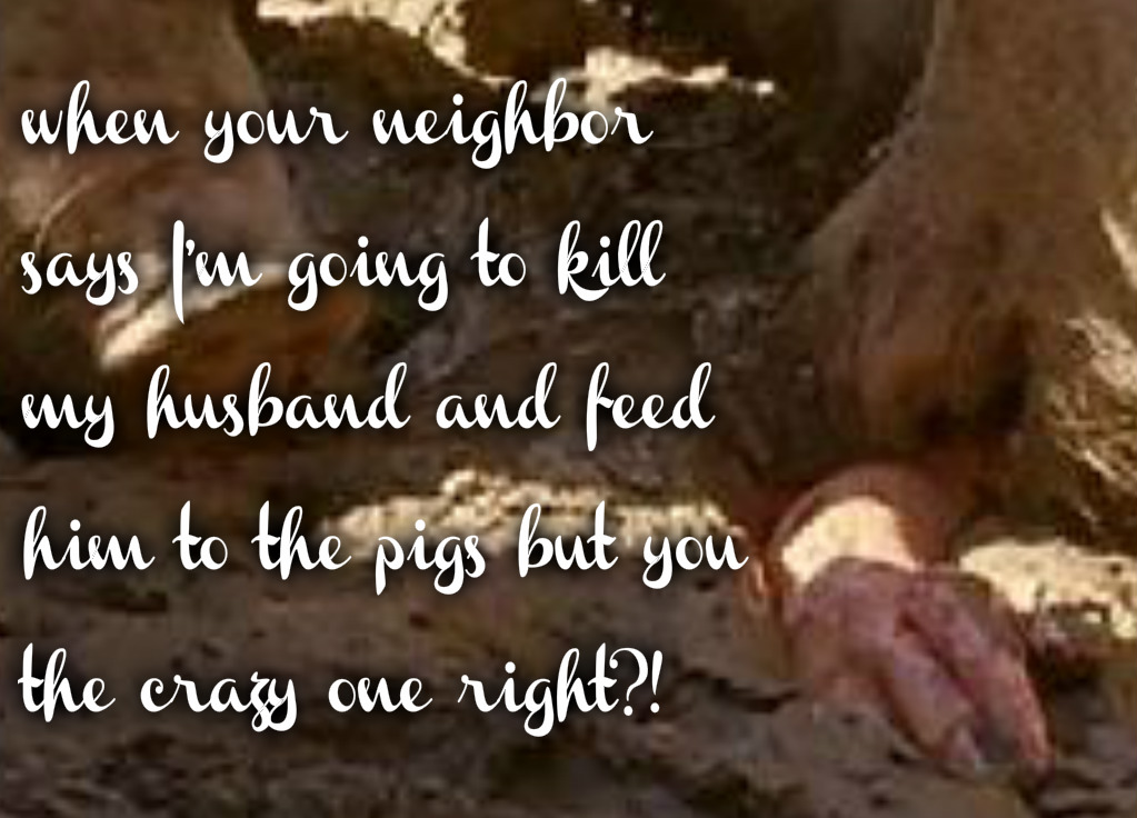 pizap.com14628057876621