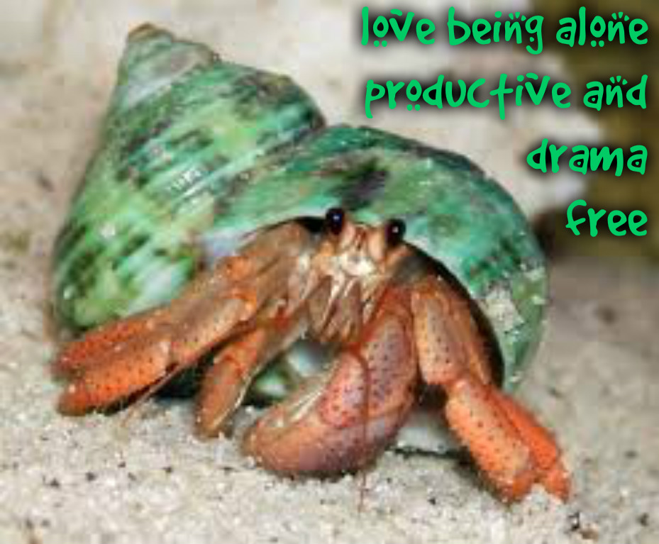 pizap.com14629181464961