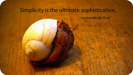 1463499_10207544539347957_6246238294496795079_n