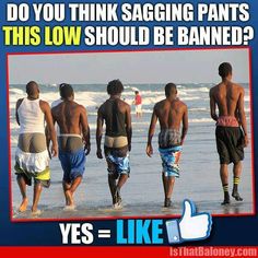 5543d0347203c33563529a5b25d3786f