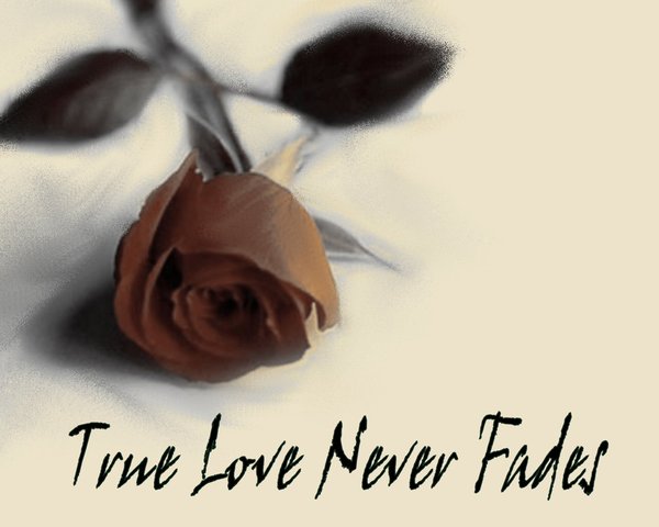 true_love_never_fades_by_darkangelnight
