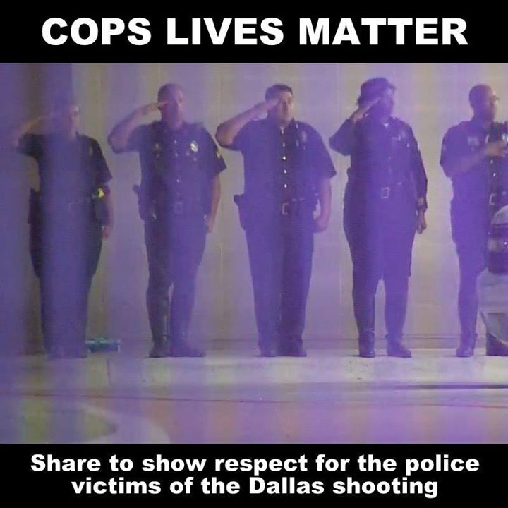 13627128_618202338368058_5707889670718832298_n