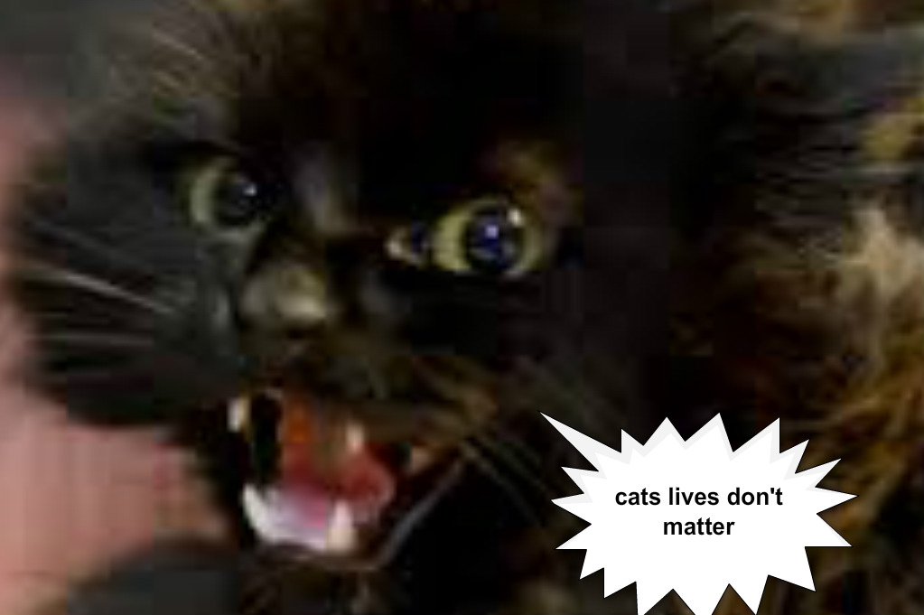 pizap.com14679512781361