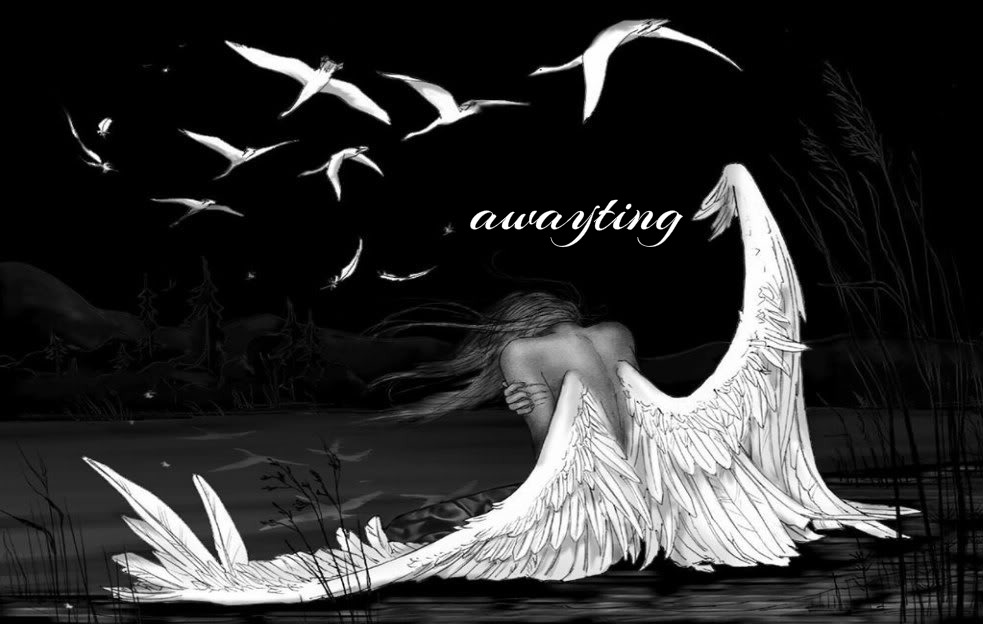 pizap.com14726108194541