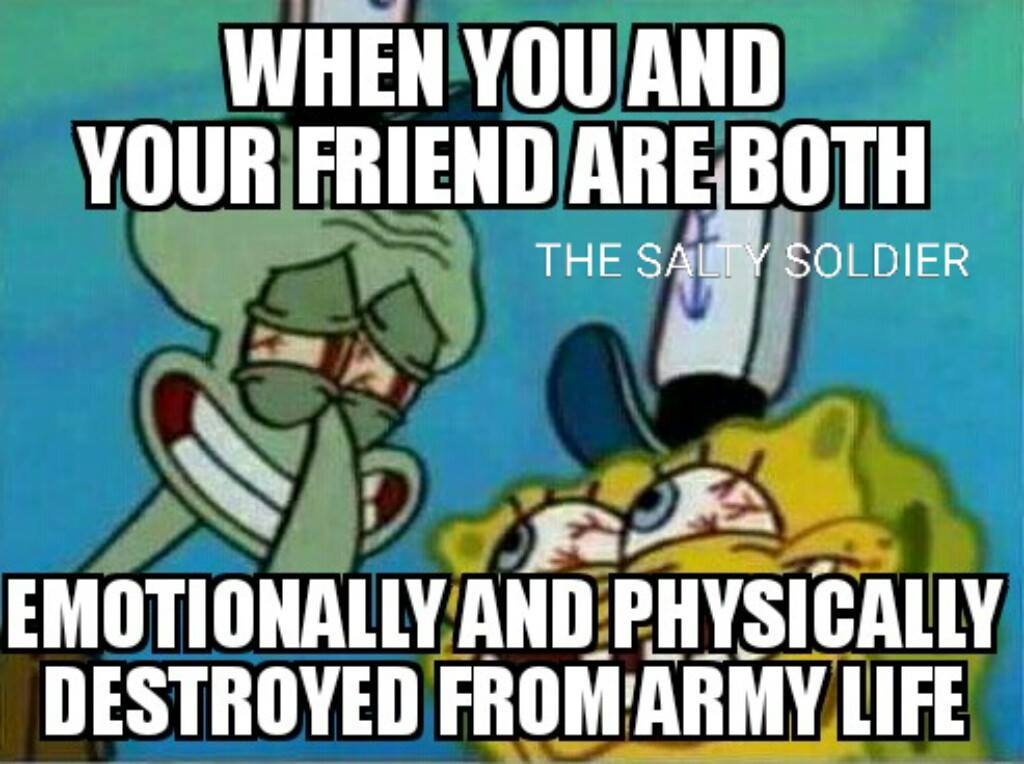 14468413_919499648153897_256556888003867847_o