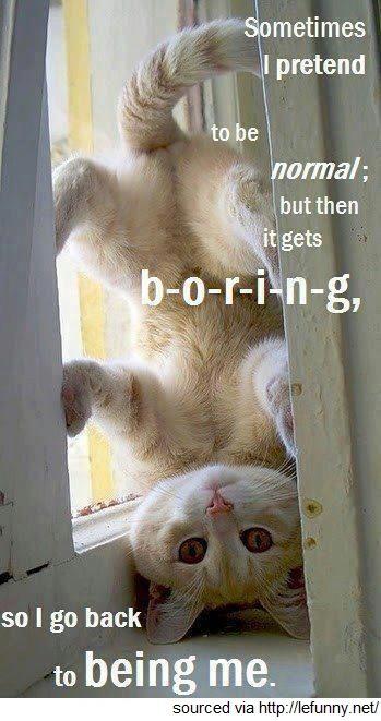 57937_10151018899400870_2140607054_n