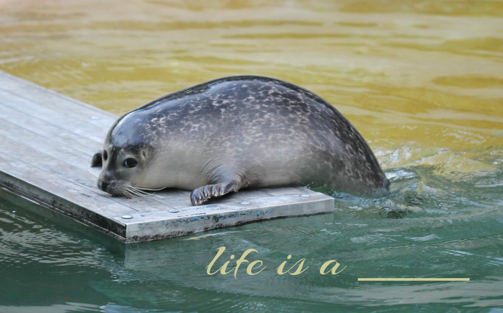 pizap-com14748226492091